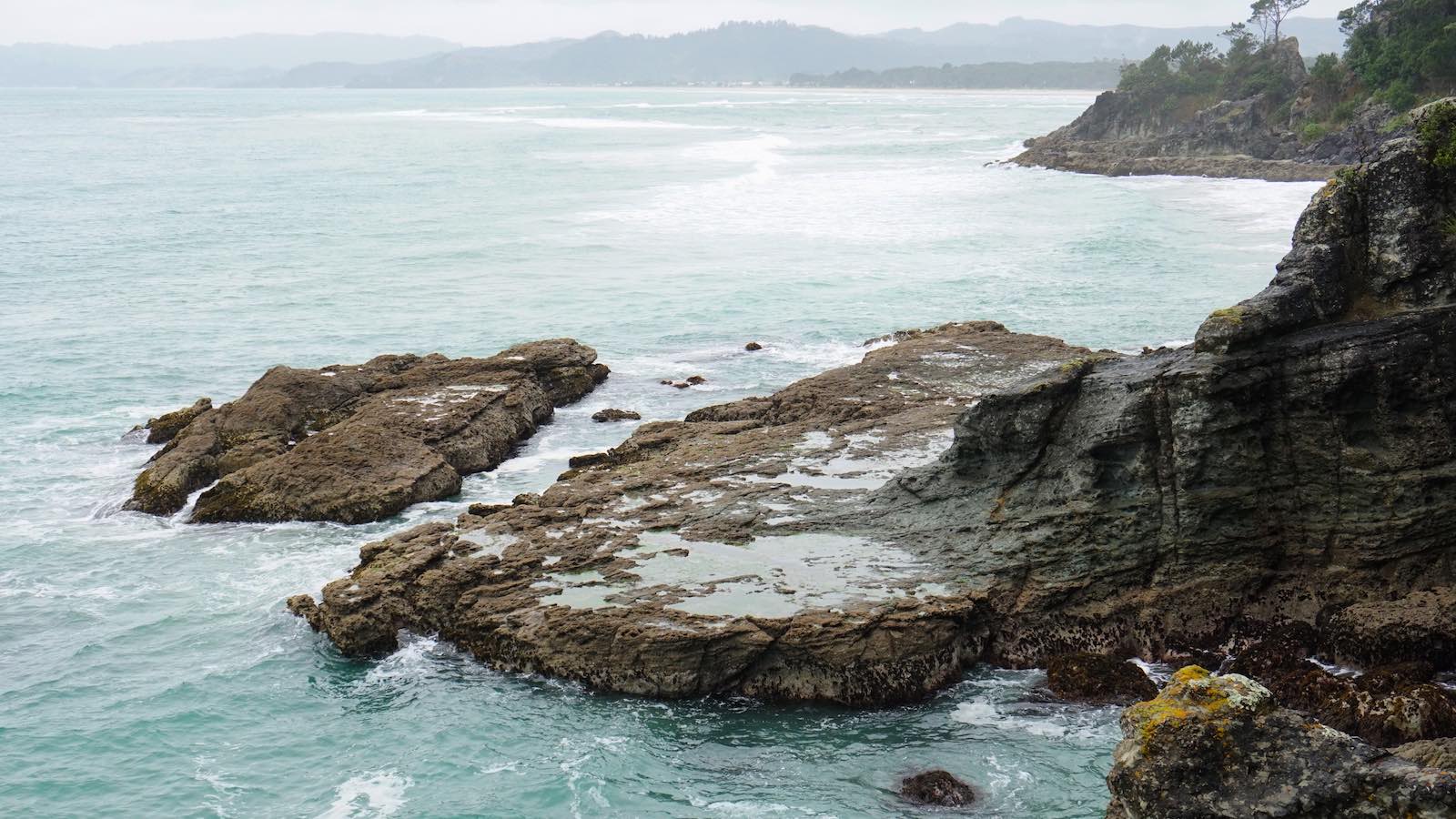 We headed to New Chums Beach, but went the wrong way and found a rugged beach/tidepool area