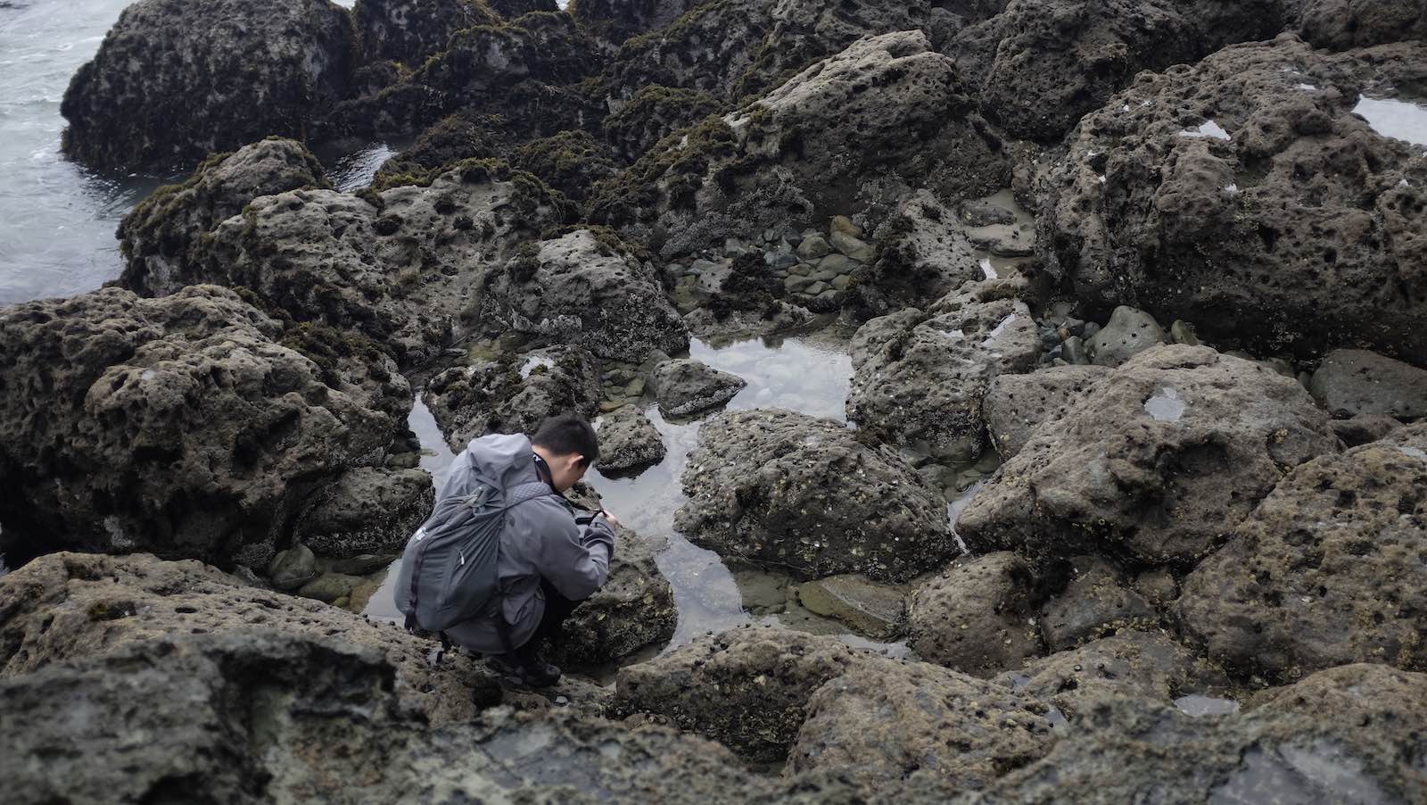 Exploring the volcanic tidepools