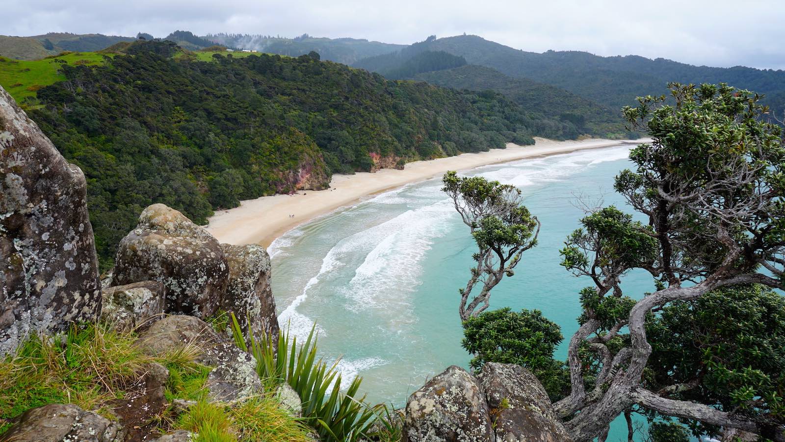 Finally found the right way and after a ~45 minute hike we were rewarded with this view of the undeveloped beach