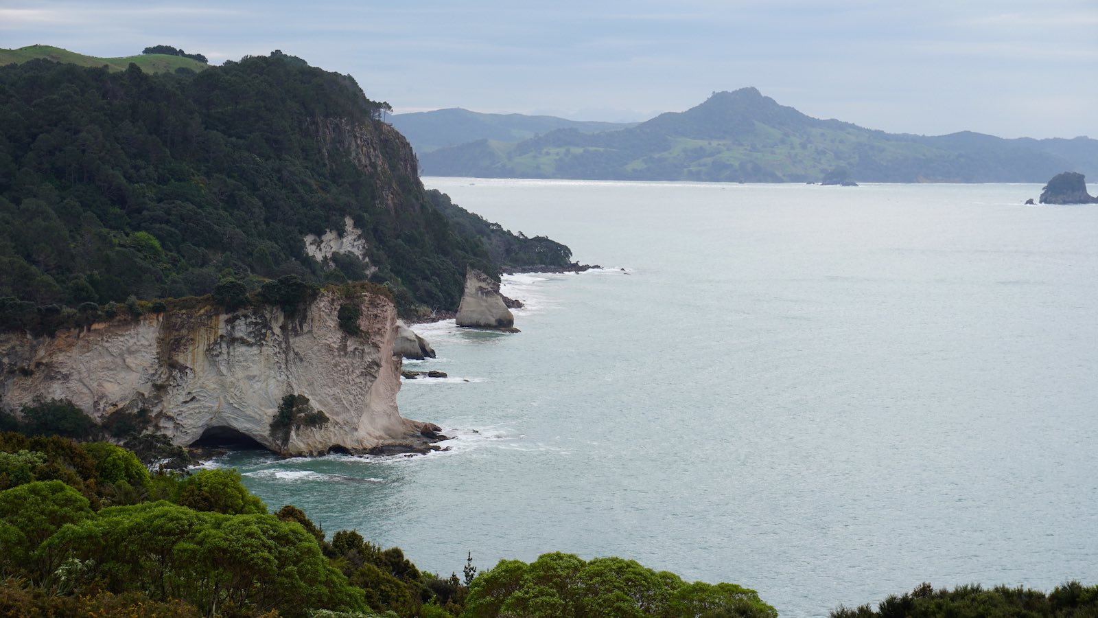 Afterwards we drove out to Cathedral Cove, it was nice but it reminded me of beaches that we have in California