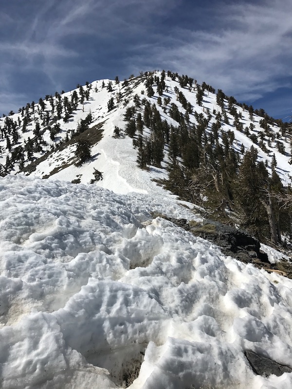 The final leg of the hike, a steep snowy incline up to the top