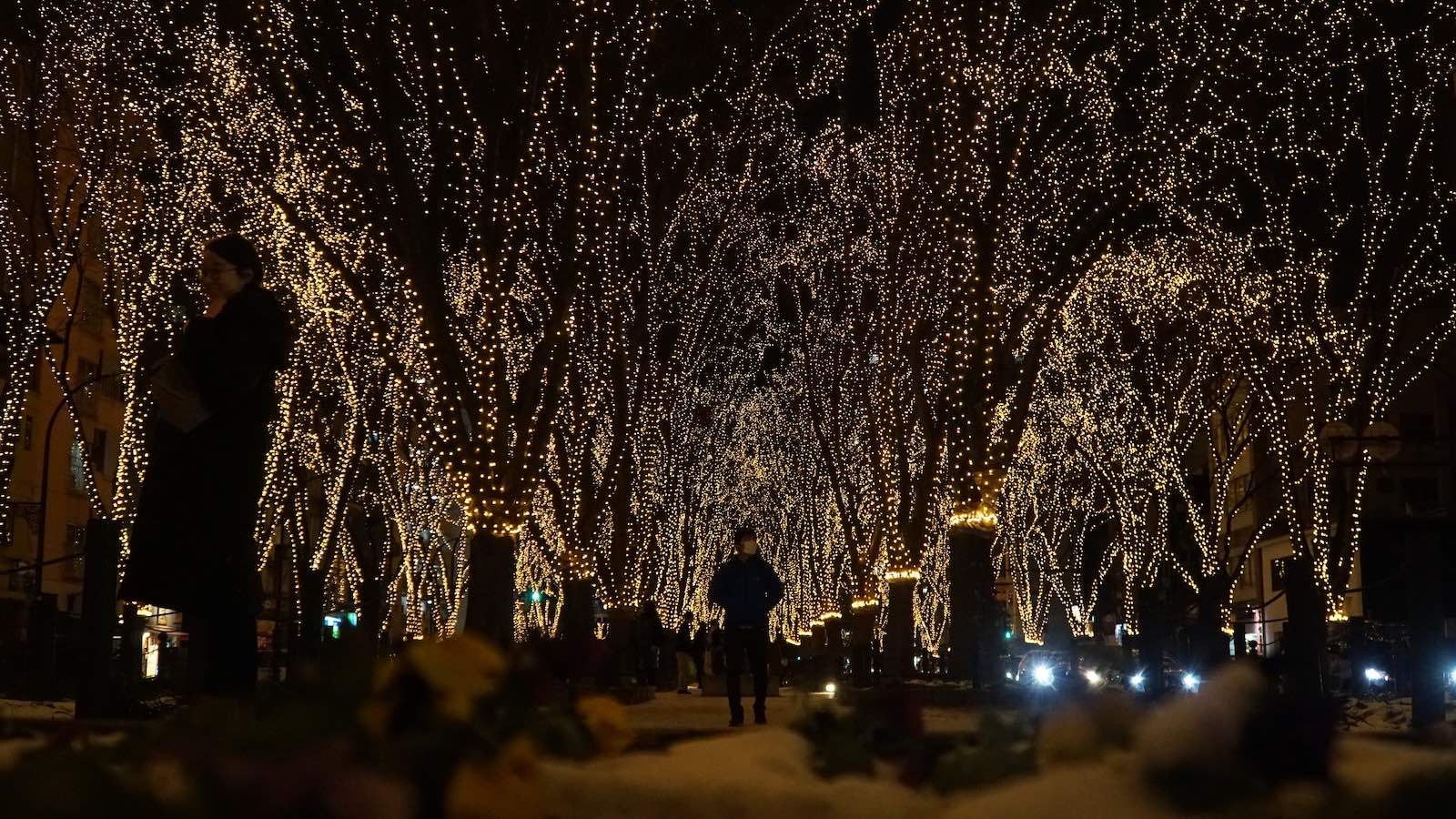 One of the best choices I made on my backpacking trip was to skip the New Years madness in Tokyo and head to the quiet 'off the tourist path' city of Sendai for New Years. I ended up celebrating News Years with a local family and found a beautiful street lit up by thousands of tiny LED lights which adorned the bare trees, a special New Years tradition in the city.