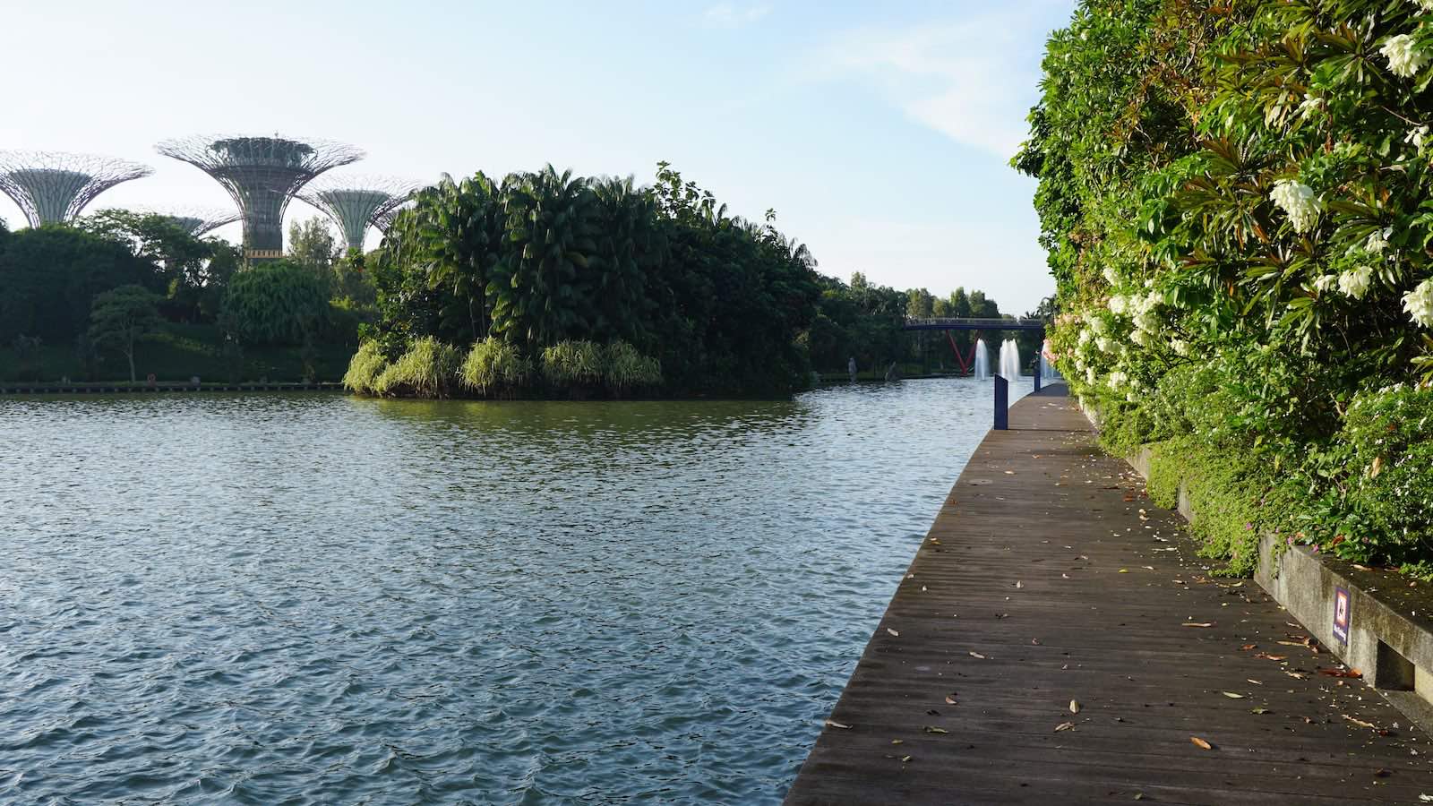 Took a slight detour to walk along the canal. I've never seen Singapore this empty, it was super peaceful.