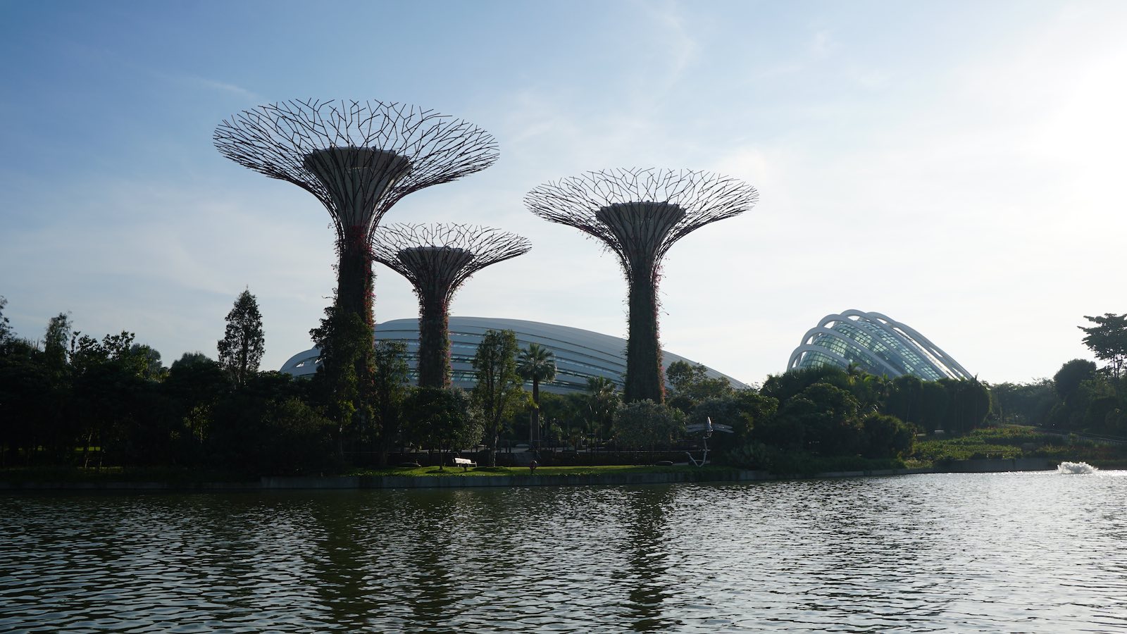 Great views of the supertrees here in the morning.
