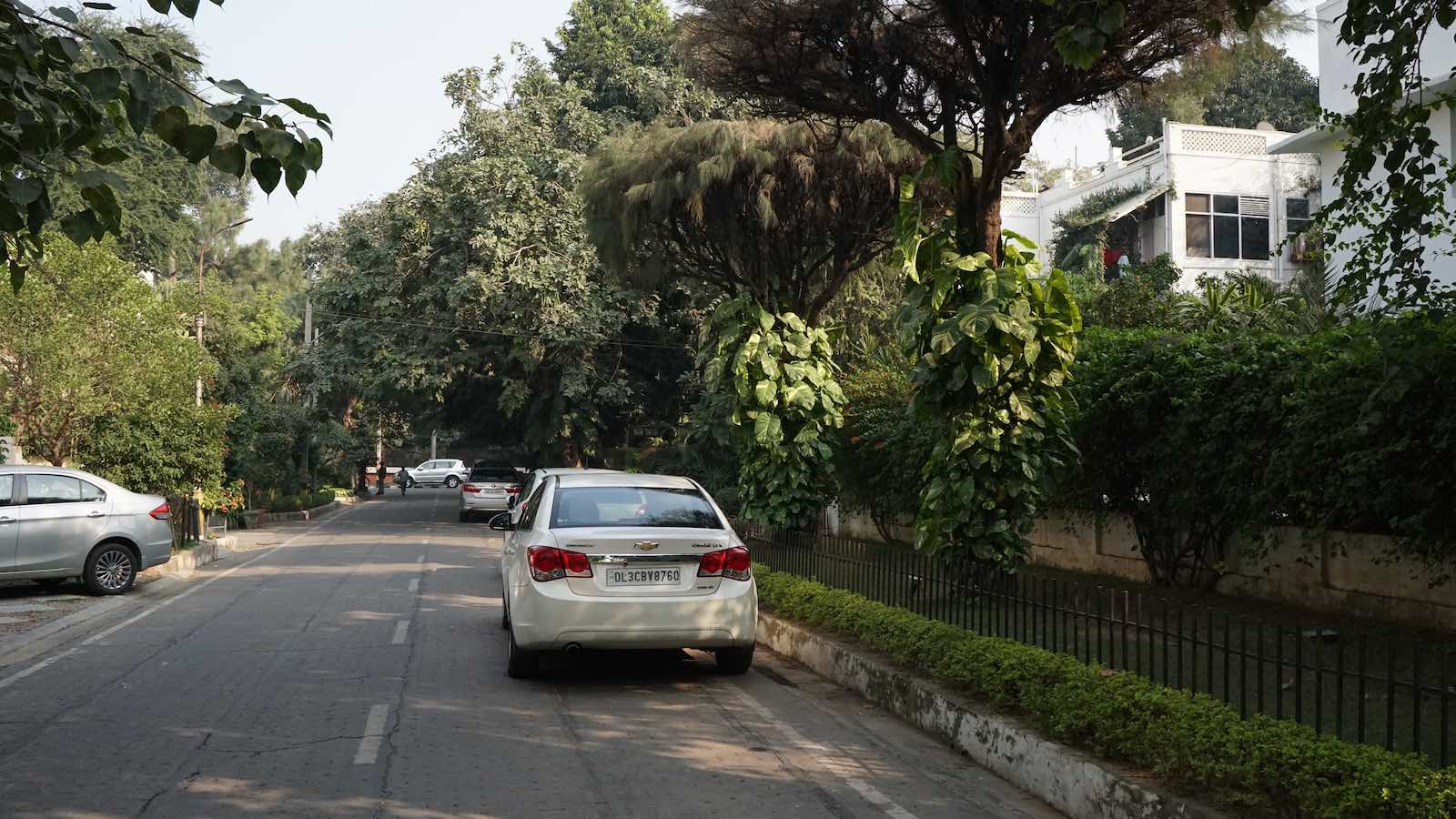 Walked around the neighborhood the restaurant was in and it was the nicest and most empty streets I had ever seen in Delhi. There were a lot of greenery and plants, it was spacious, and no trash lying in the gutters. Although the overall air pollution in the city still settled everywhere and cast everything in a grayish green hue.