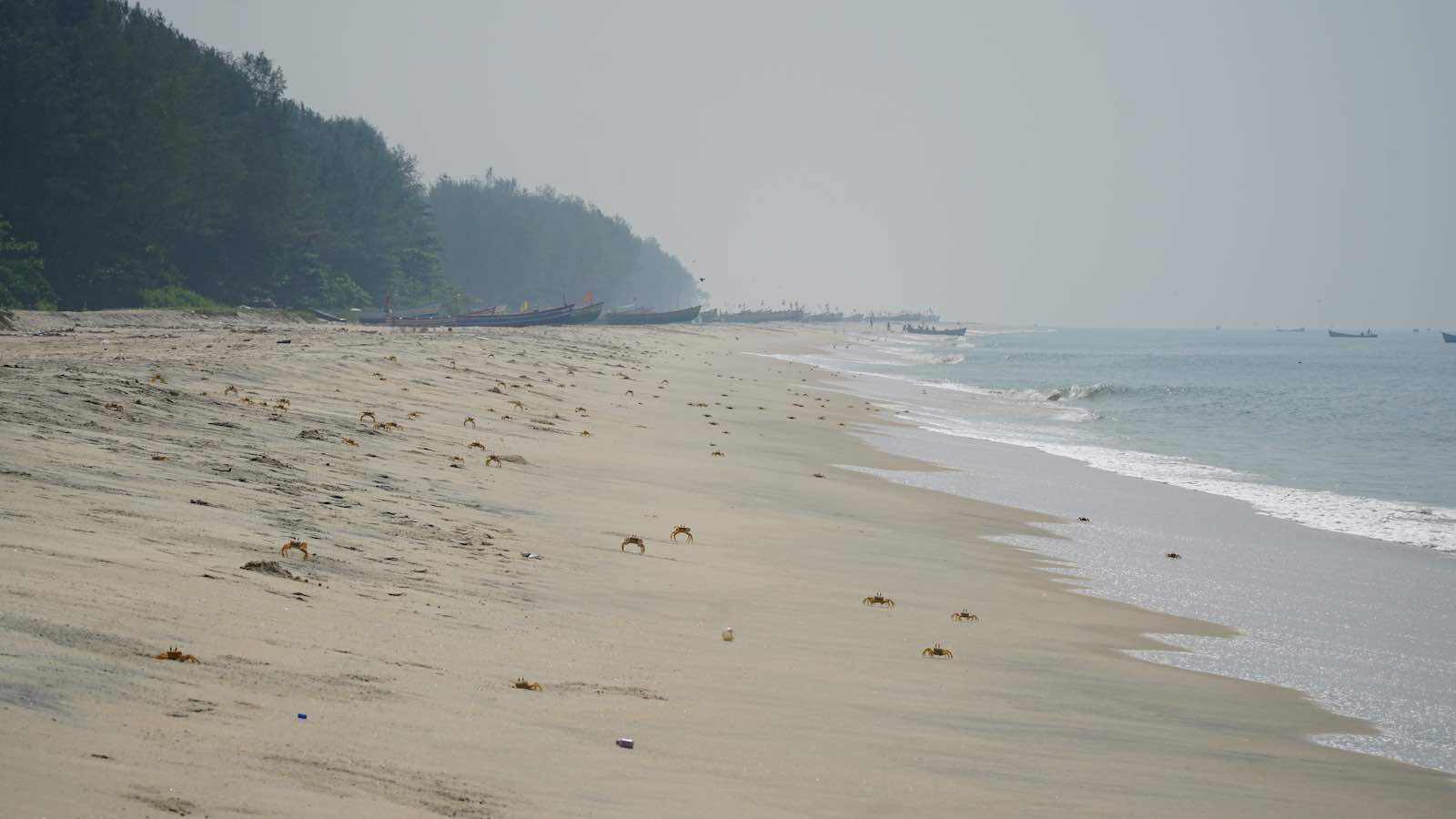 Walked along the beach a bit until I was soaking wet from sweat... It was REALLY hot and humid. Saw about a million crabs who would scurry out of holes in the sand and into the water as soon as they spotted you coming.
