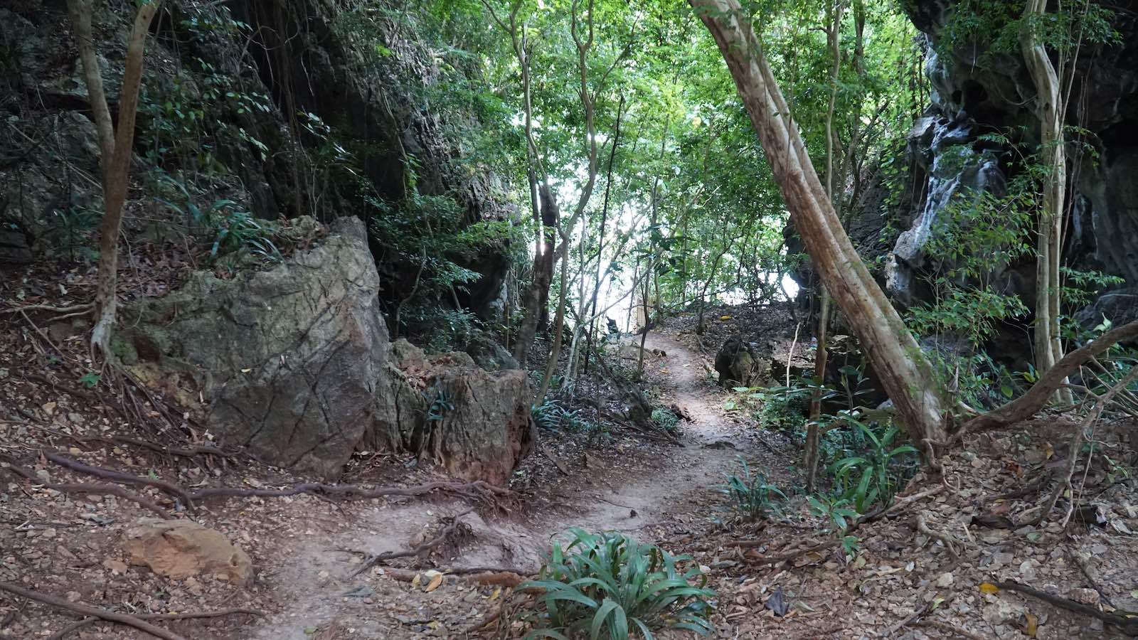 On my map it showed that the only 'route' was through this jungle-y area. It felt very adventurous and I felt like I was on my way to find some secret beach.