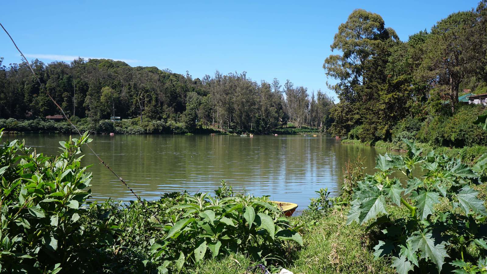 There was a big lake right outside of my guesthouse. It's one of the attractions in Ooty, and I walked around it a bit and saw people boating on the lake. The polluted river runs right into this lake though and the lake also had an odd smell and color to it. Again, I could see so much beauty here if there was some better system of getting rid of trash and some environmental protections put into place.