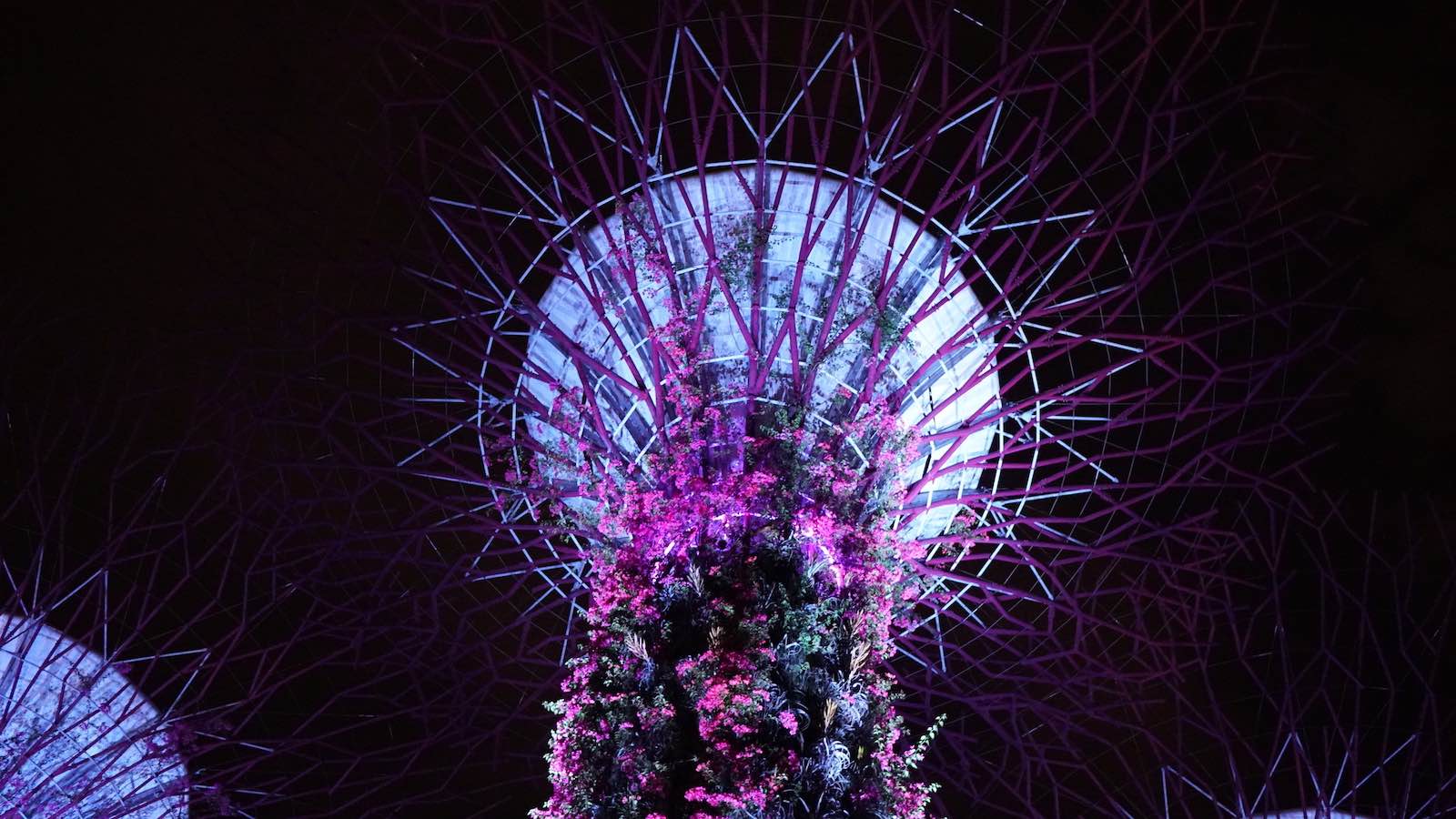 Took a detour to visit the iconic supertrees. You have to pay to get into the main grove but there was a little side grove with 3 giant trees open to the public. They were impressive to say the least.