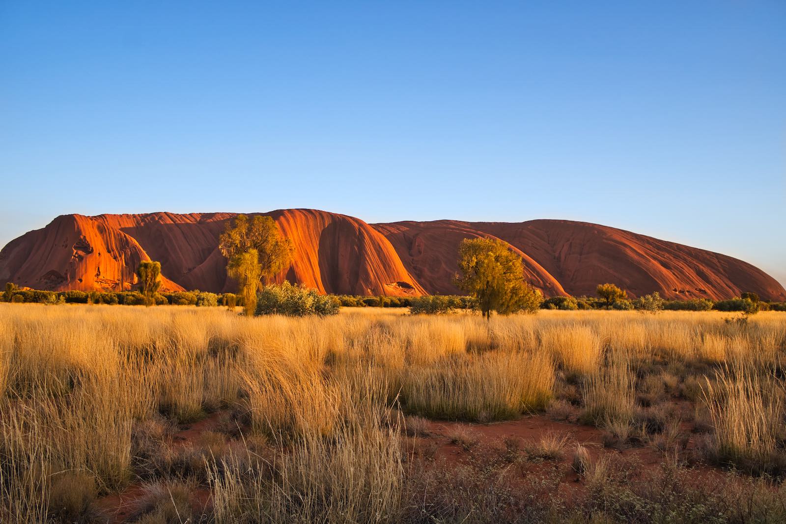 Took a bus to Uluru to watch the sunrise