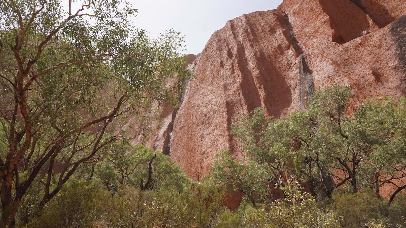 Some of the landscape surrounding the massive rock formation