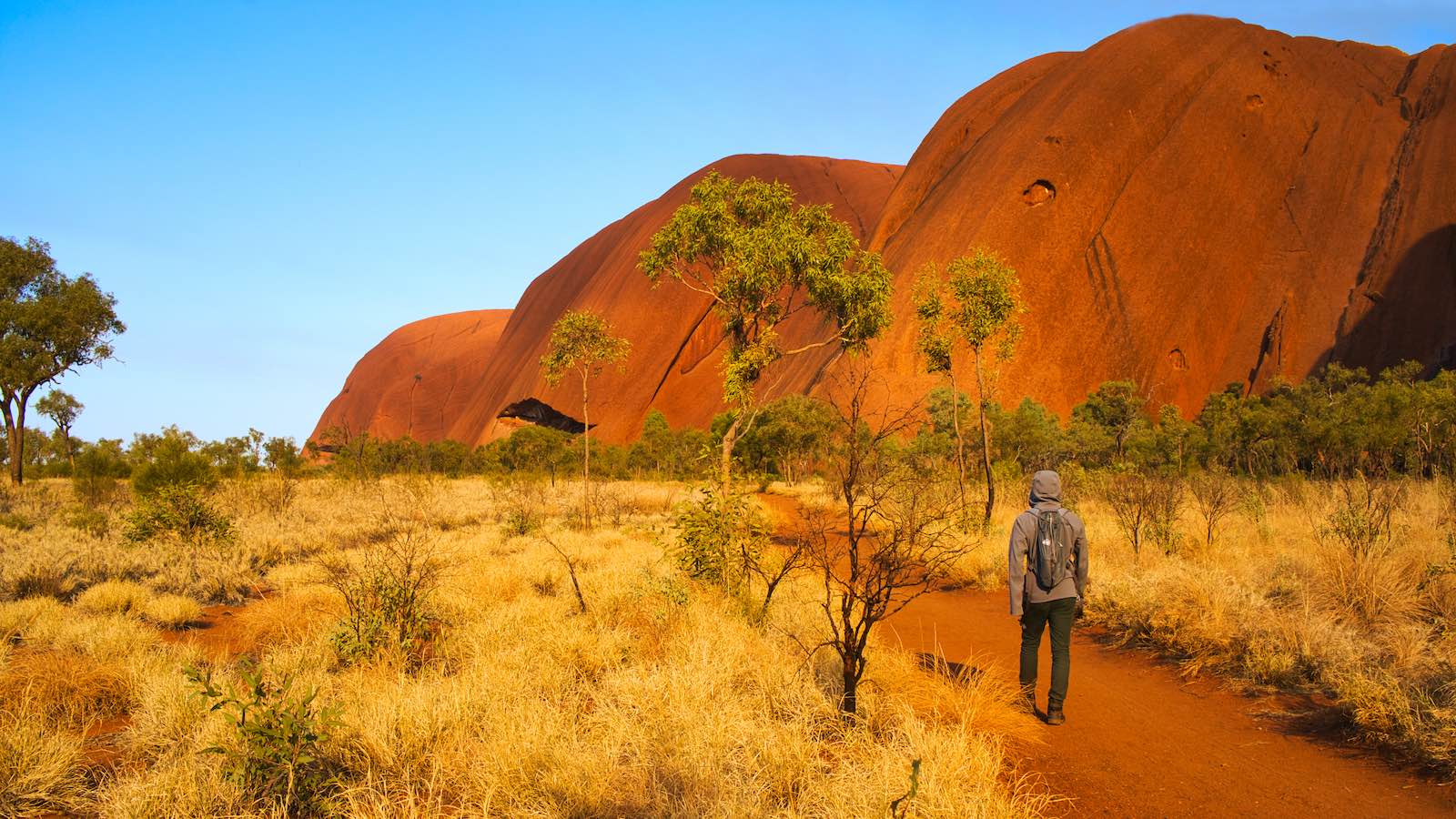 Then did a 4 hour walk around the base of Uluru
